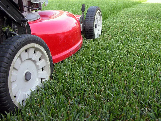 Lawn Mowing in Greenville, NC