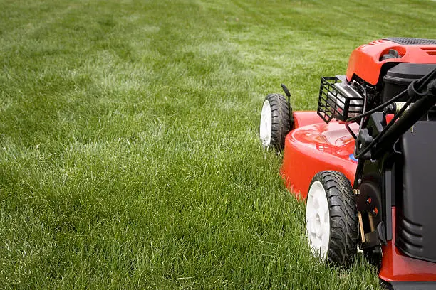 Lawn Mowing in Greenville, NC