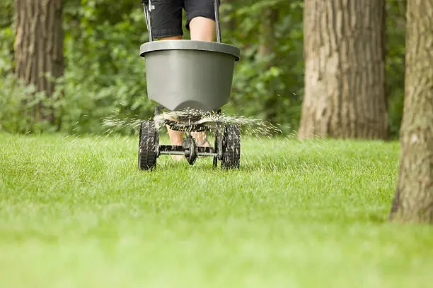 Quality Lawn Fertilization in Greenville, NC