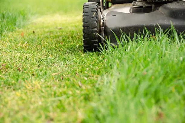 Quality Lawn Mowing in Greenville, NC