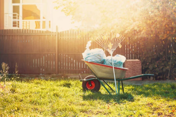 Quality Yard Cleanup in Greenville, NC